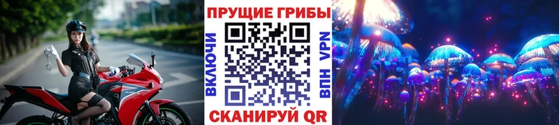 Купить закладки  Сураж  Псилоцибиновые грибы прущие грибы 